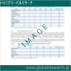 グローバルリサーチ調査レポートのイメージ